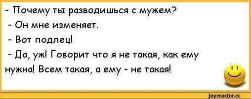 Шутки про супругов которые изменили. Почему муж изменяет. Муж с женой разводятся анекдот. Измена мужа жене. Читать развод двойная жизнь моего мужа багирова