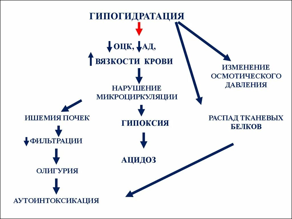 Гипогидратация это. Гипогидратация механизм развития. Механизмы развития гиперосмолярной гипогидратации. Патогенез гипогидратации. Гиперосмолярная гипогидратация патогенез.