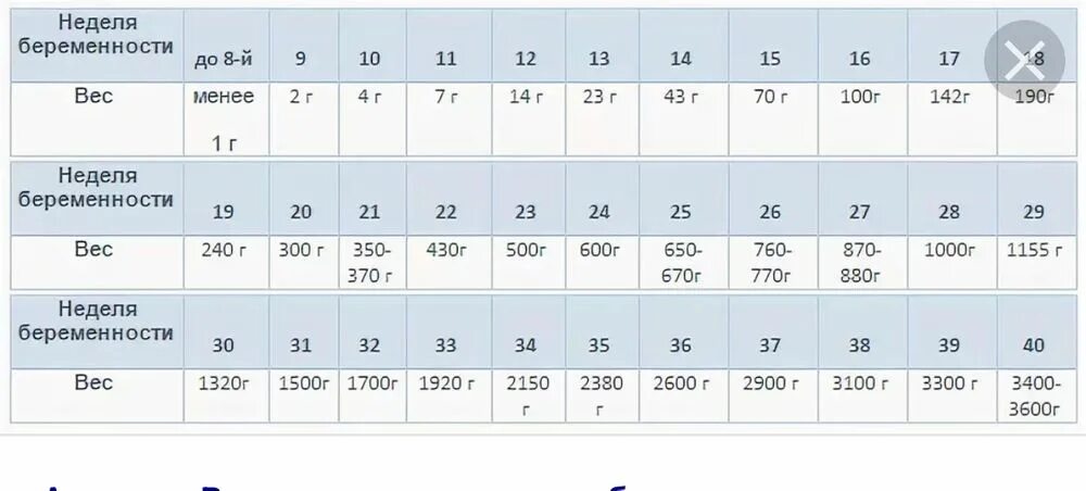 Вес плода на 33 неделе беременности. Вес ребёнка в 32 недели беременности. Вес плода в 32 недели беременности норма. Вес ребёнка в 33 недели беременности. Вес плода в 34 недели