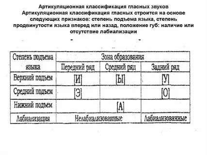 Заднего ряда верхнего подъема лабиализованный