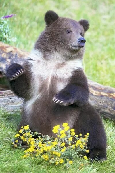 magspace.ru - /uploads/2017/03/31
