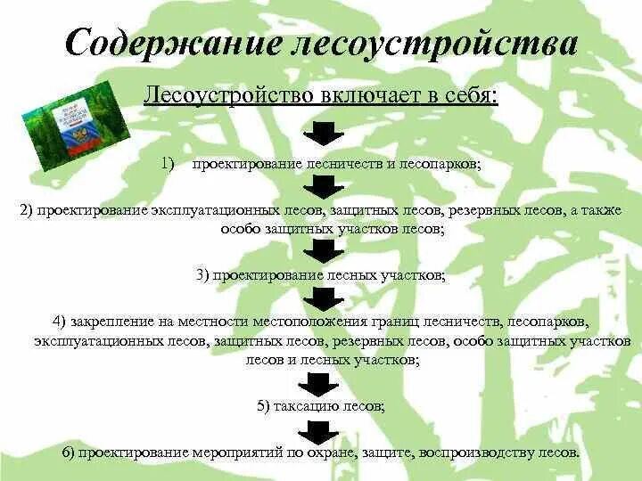 Цель использования лесного участка