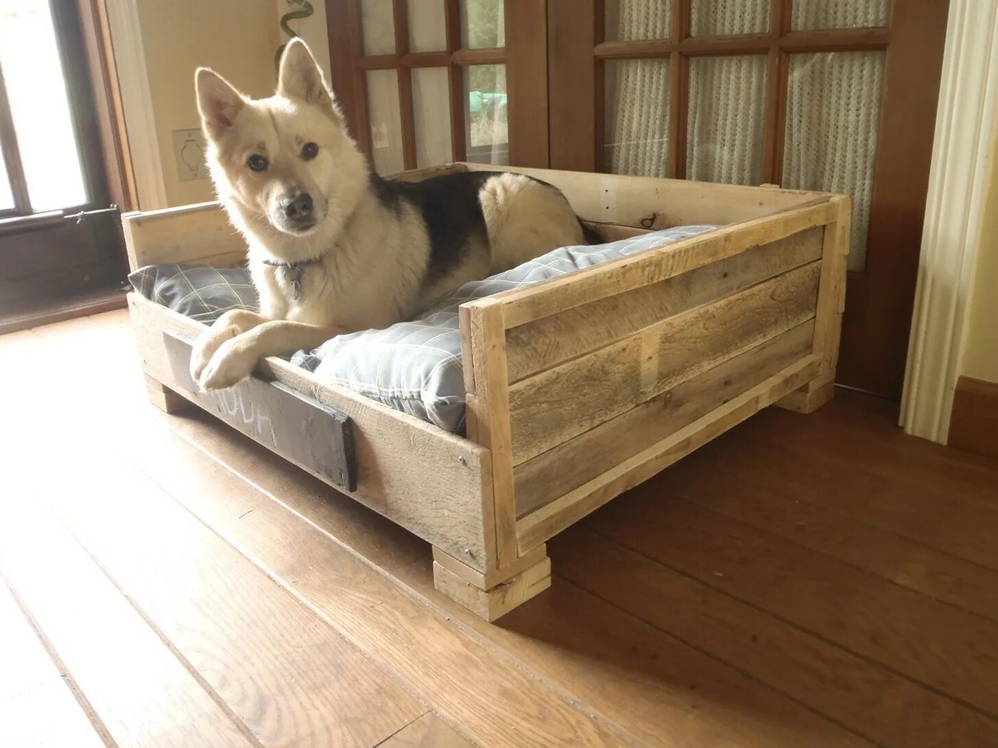 Собачья кровать для человека. Кровать для собаки из дерева. Лежанка кровать для собак. Деревянная лежанка для собак. Лежак для собаки из дерева.