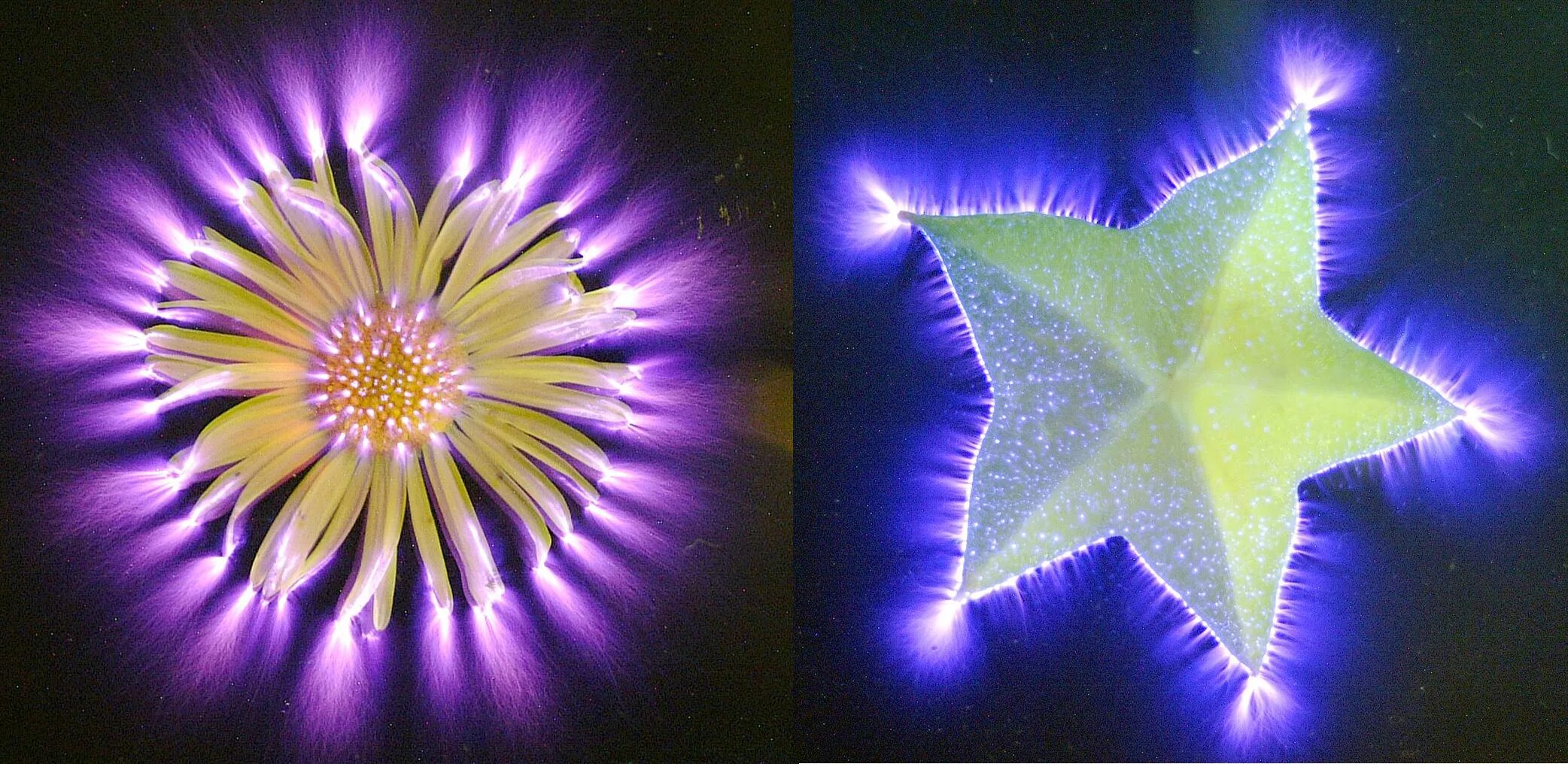 Магазин рыболов ревда. Энергетическое поле человека. Аура ревда. Аура ревда. Ревда магазины.