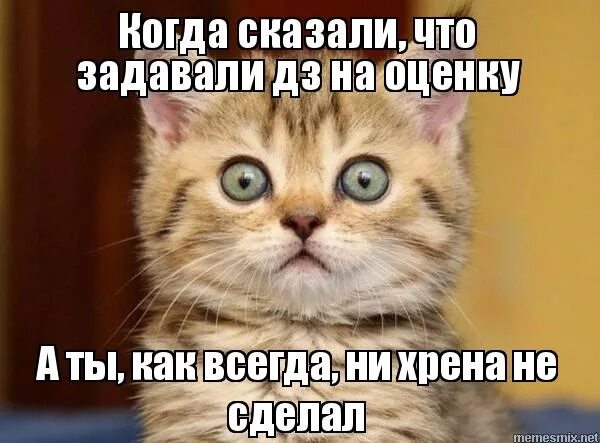 что по физике задали. что задали. стихотворение я бы взял тебя и унес. фразы каспийского груза. что задали.