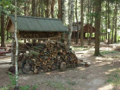 Пансионат голубая речка Одинцовский район. Пансионат голубая речка Каринское. Реабилитационный центр голубая речка Одинцовский район. Санаторий голубая речка Звенигород.