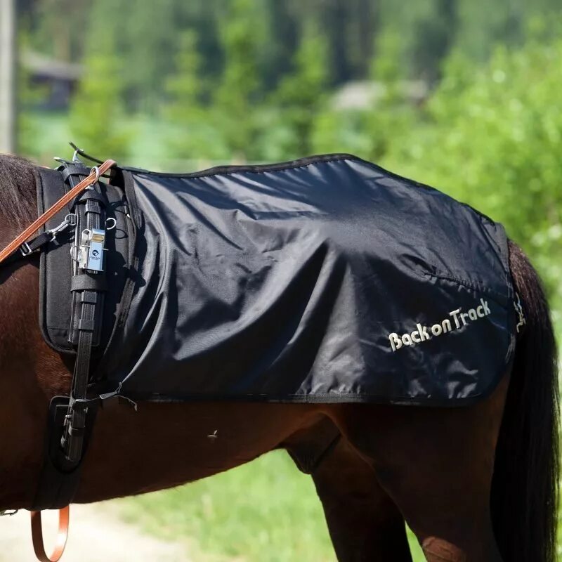 Back on track. Back on track. Кронштейн для вальтрапов. Геометрии даш back on track. Геометрии даш back on track.