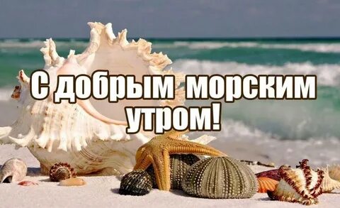 Доброе утро картинки моря с надписями