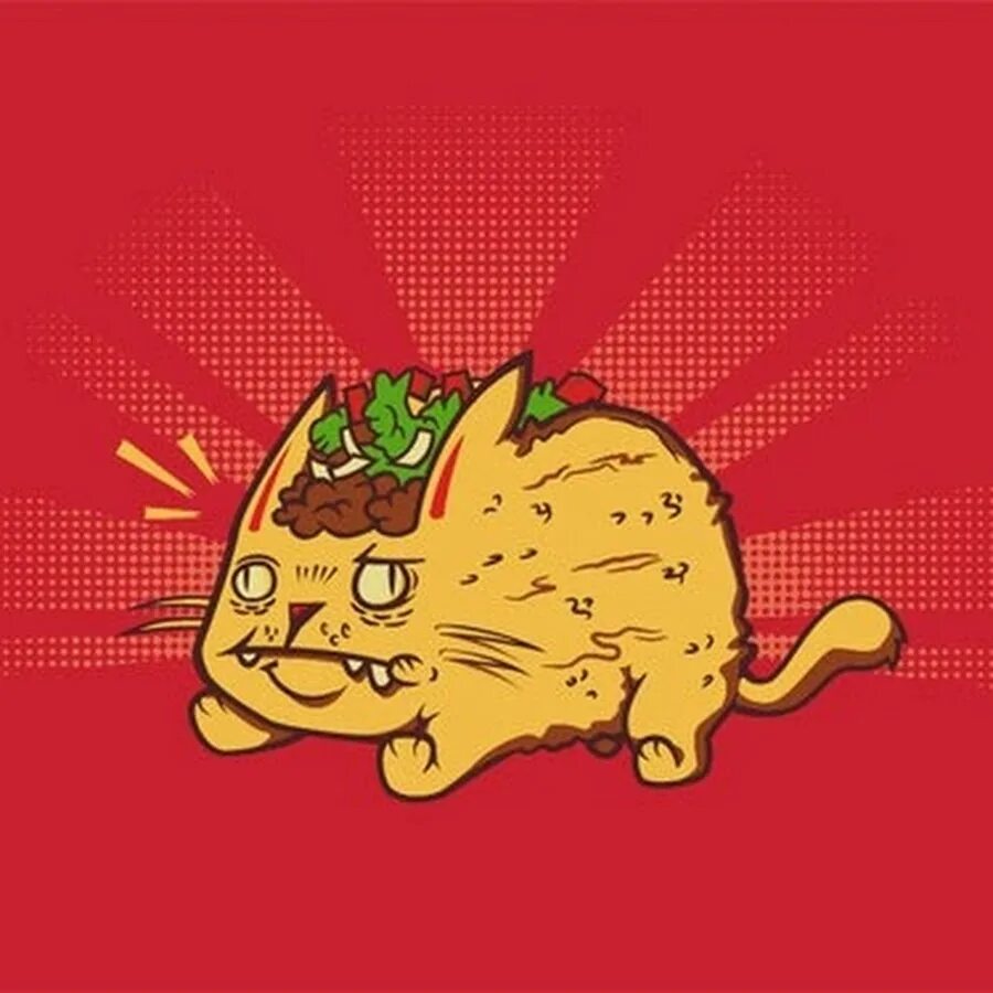 Тако кот. Кот Такос. Кошка в тако. Tacocat Мем. Котик Taco.