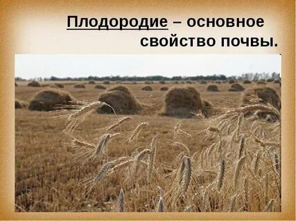 Плодородие это особое свойство