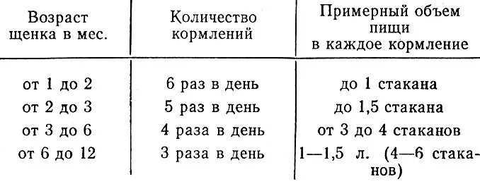 Сколько раз надо кормить щенка