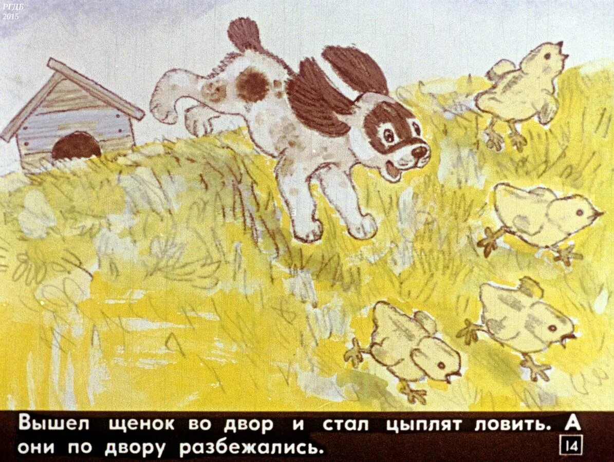 Как ежик шубку менял. Иллюстрации к сказке как ежик шубку менял. сказка как ежик шубку менял. иллюстрация к сказки как ёжик шкбку менял.