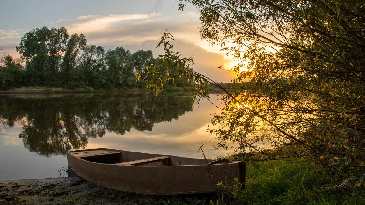 Лодка на Речной мели. Одинокая лодка. Лодка под ивой. Принесет воды песня