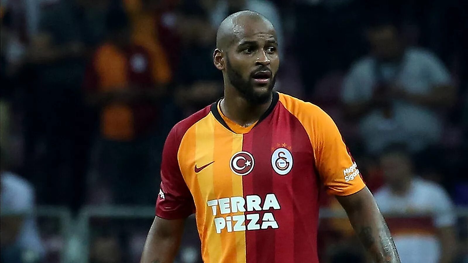 Ve marcao