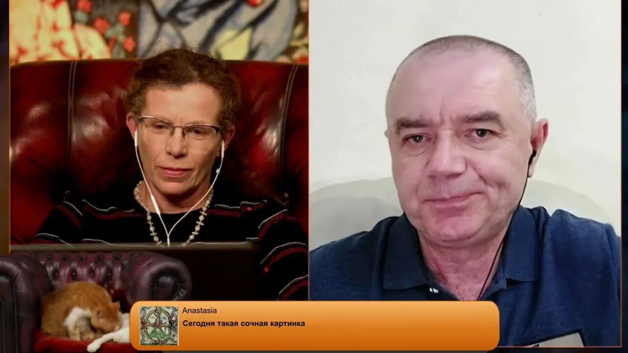 Свитан эксперт. Свитан эксперт