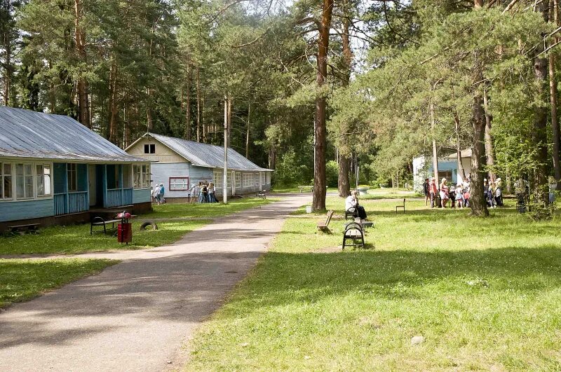 Camping name. Лагерь Горького Ярославль. Лагерь имени Дзержинского Ярославль. Детский оздоровительный лагерь им Горького Лесозаводск. Лагерь им Горького Ружино.