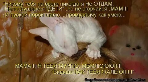 Не пойму зачем я отдал тебя ему