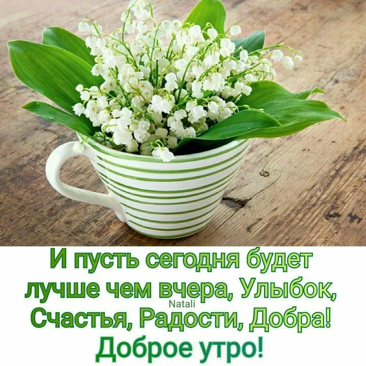 Пусть утро начинается. Пожелания на утро. Открытки с добрым утром весенние. Позитивные пожелания с добрым весенним утром. С добрым утром с пожеланиями здоровья.