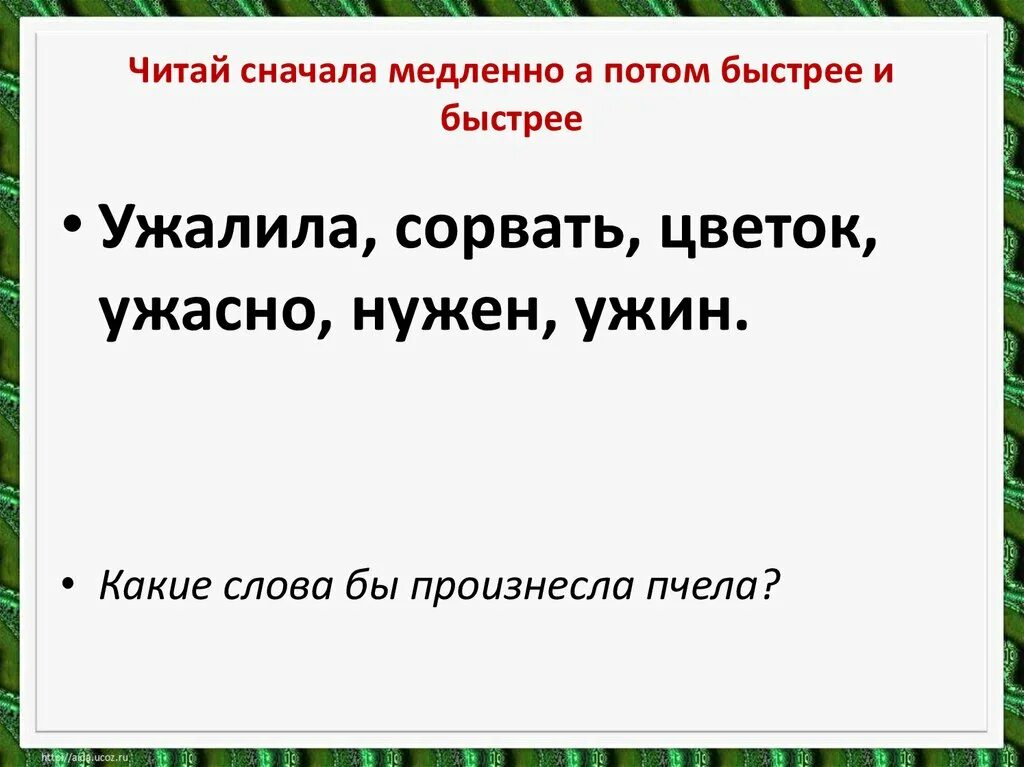 Читай сначала медленно потом быстро. Презентация разговор с пчелой кто как кричит 1 класс школа России. Презентация к уроку Сапгир про медведя. 1 Класс чтение г Сапгир про медведя презентация.