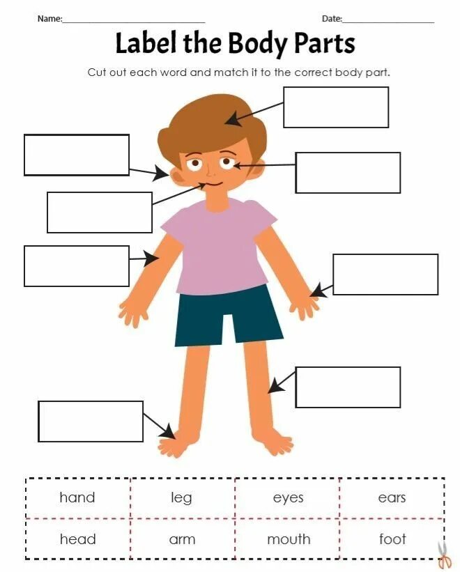 Human matching. Body английский для детей. Задания по английскому части тела. Упражнения по английскому части тела. Части тела на английском для детей Worksheets.