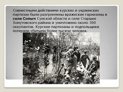 Партизан где