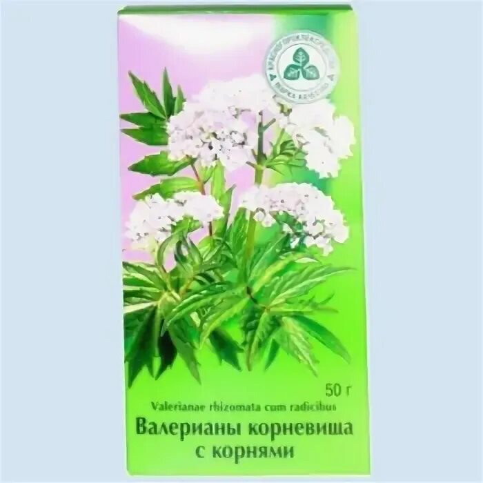 Фармакологическое действие валерианы. Настой валерьянки. Валерьяна раствор. Валерьянка в каплях инструкция. Валерьянка состав капли.