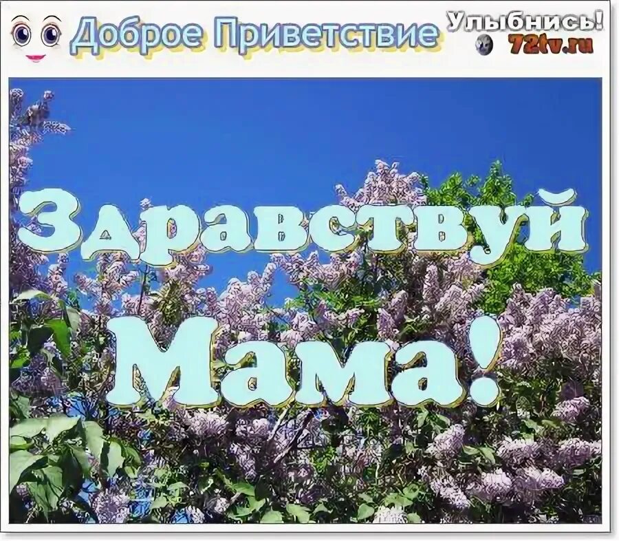 Ах какая мама ноты. Песня ах какая мама. Здравствуй мама ноты. Здравствуйте мамы ноты чичклв чичков. Здравствуй мамочка скажу.