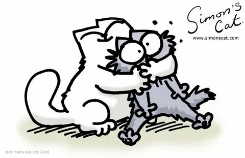 It is s cat