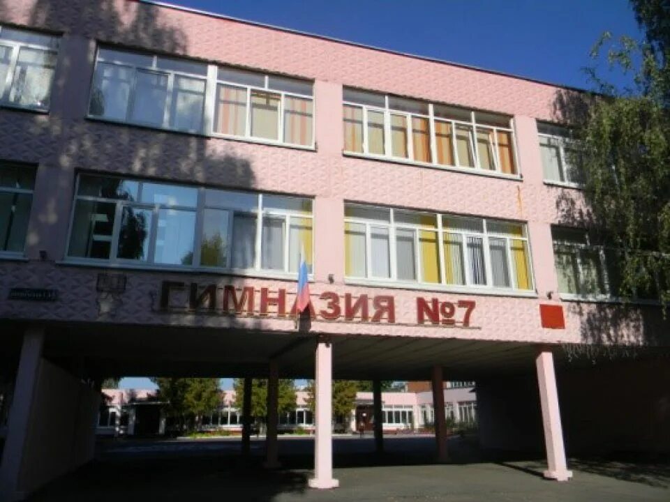 Гимназии города брянска