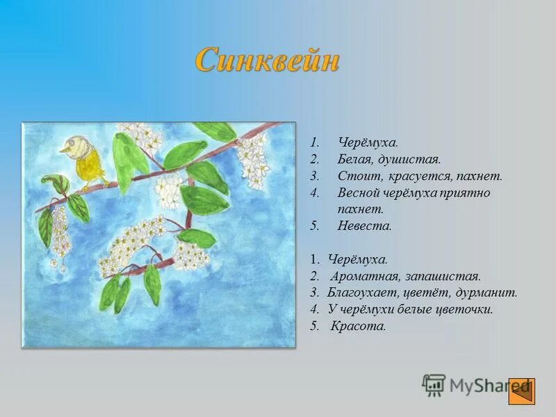 синквейн черемуха есенин. синквейн черемуха. "черемуха". а. синквейн черемуха есенин.
