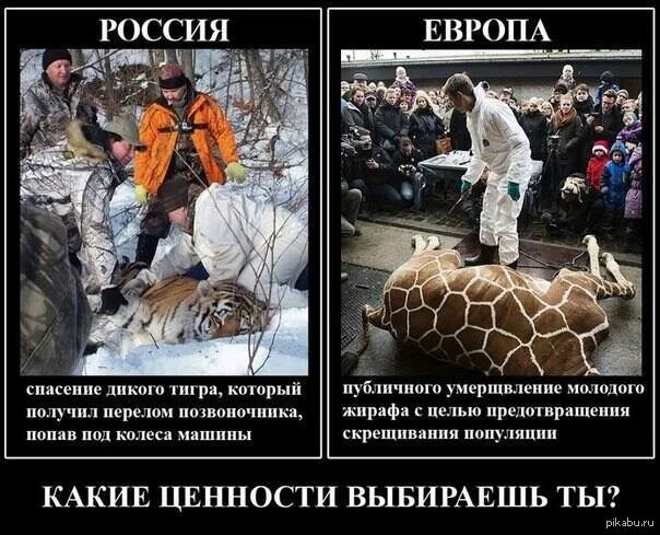 Ценность спасения