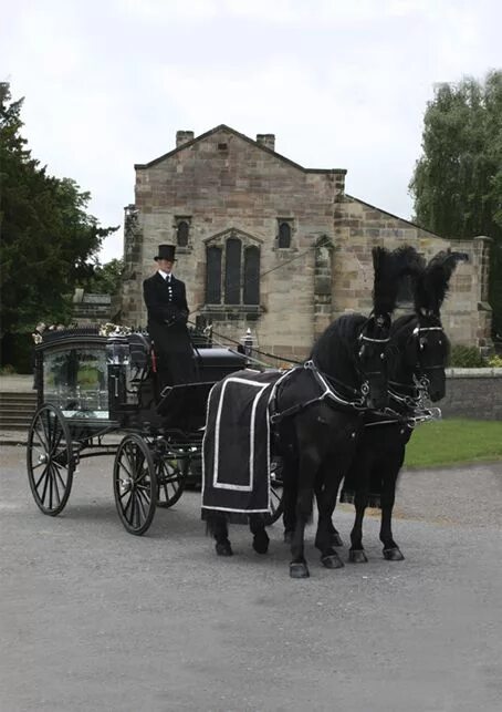 Конь и автомобиль. Американские кареты. Horses funeral. Лошадь пришла на похороны хозяина. Horses funeral.