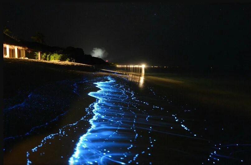 Мальдивы острова ваадху мальдивы. Светящееся море где. Остров ваадху мальдивы. Атолл ваадху мальдивы. Остров ваадху мальдивы.