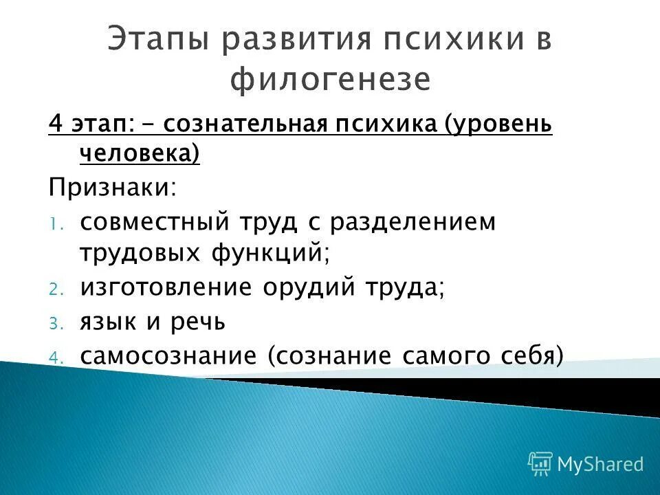 Возникновение и развитие психики в филогенезе. Стадии развития филогенеза. Филогенез психики человека. Развитие психики в процессе филогенеза. Основные стадии развития психики.
