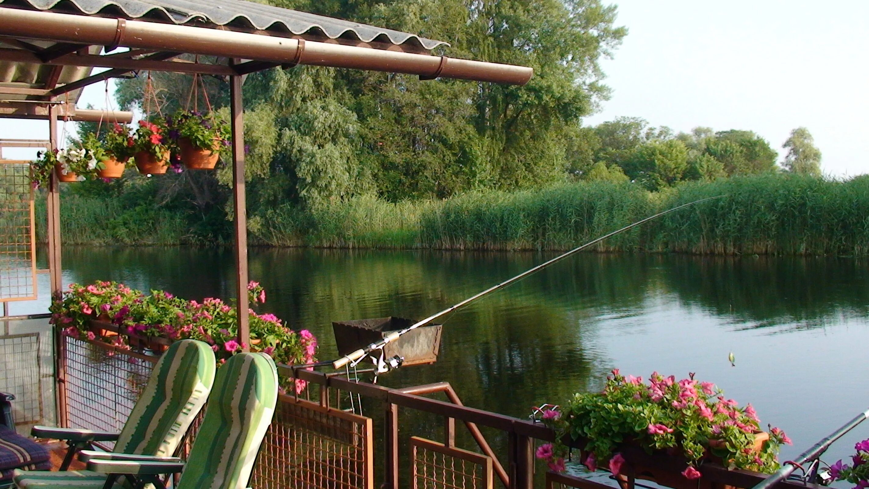 Фазенда глухомань Карелия. Красивые места для рыбалки. Рыбалка летом. Рыбалка на озере. Рыболовный в озерах