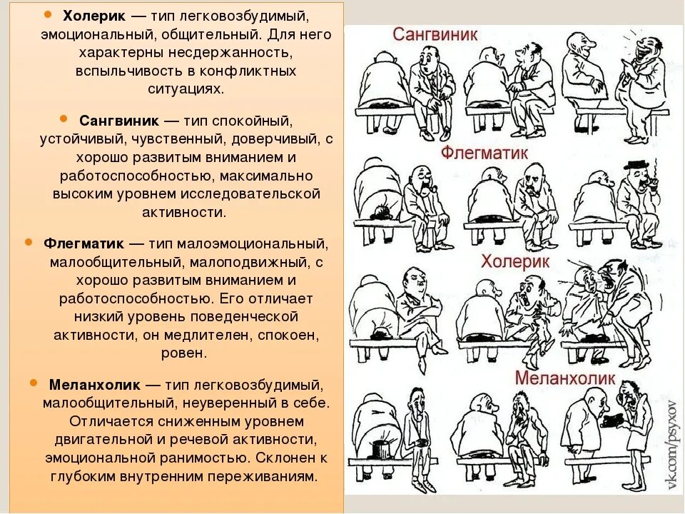 Сангвини. Сангвиник меланхолик холерик флегматик типы. Темперамент холерик сангвиник флегматик меланхолик. Сангвиник меланхолик холерик флегматик типы темпераментов. Темперамент флегматик меланхолик.