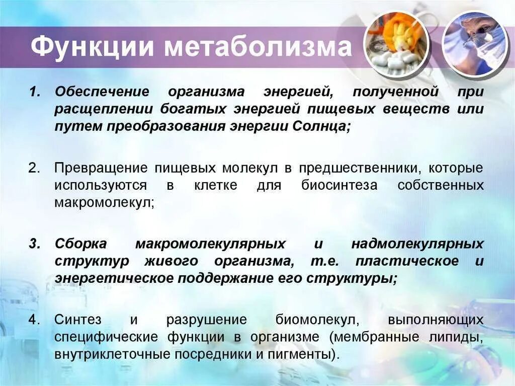 Ответ энергетическую функцию в клетках выполняет