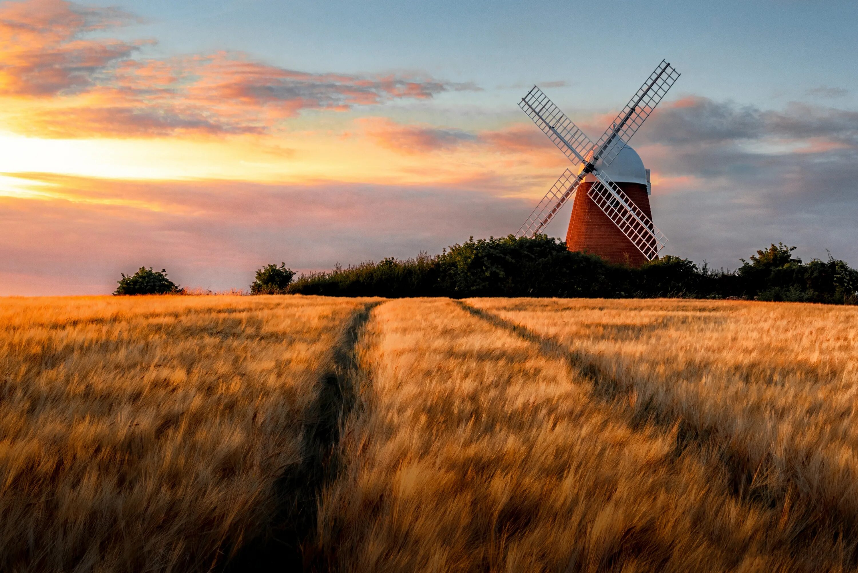 “Мельница в поле”, “шалаш” Шишкина. Пшеничное поле с мельницей. Ветряные мельницы. Мельница пшеница.
