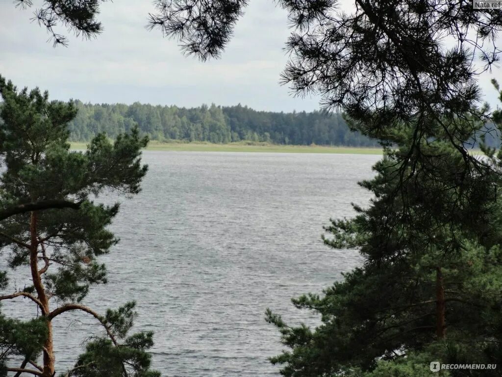 Озеро Гороховое Смоленка (Островский район) Фотопланета