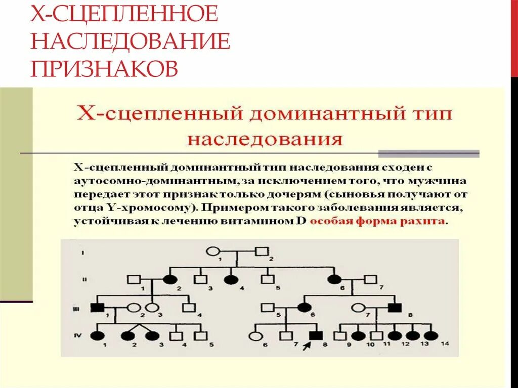 Особенности сцепленного наследования. Признаки x сцепленного доминантного наследования. Сцепленное наследование признаков. Признаки сцепленные с х.