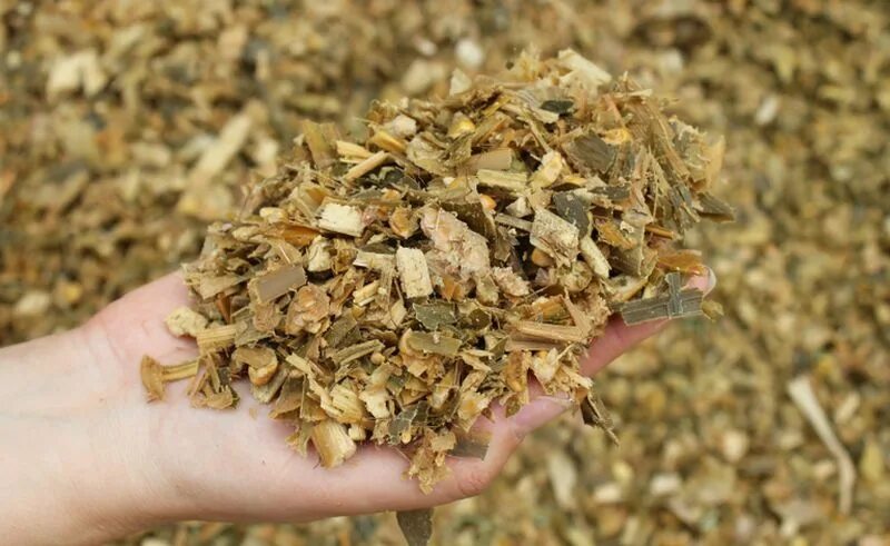 сенаж трав. силос клеверный. силос кукурузный. силос жом барда. силос (корм).