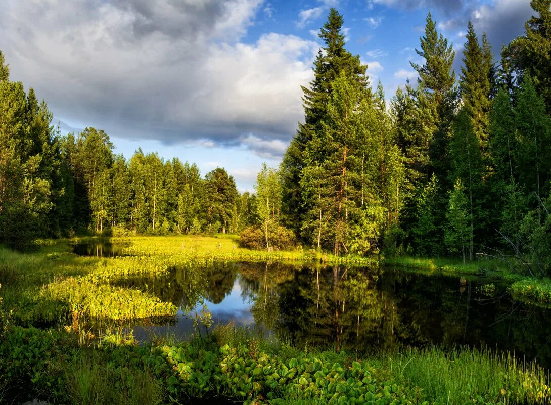 Будет лето на южном урале. Природа Урала лето. Летний лес на Урале. Пейзажи природы Урала. Природа Урала летом.