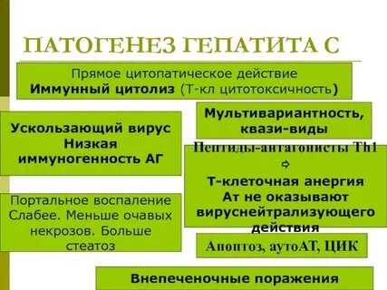 Патогенез вирусного гепатита