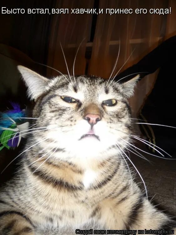 не встать не взять