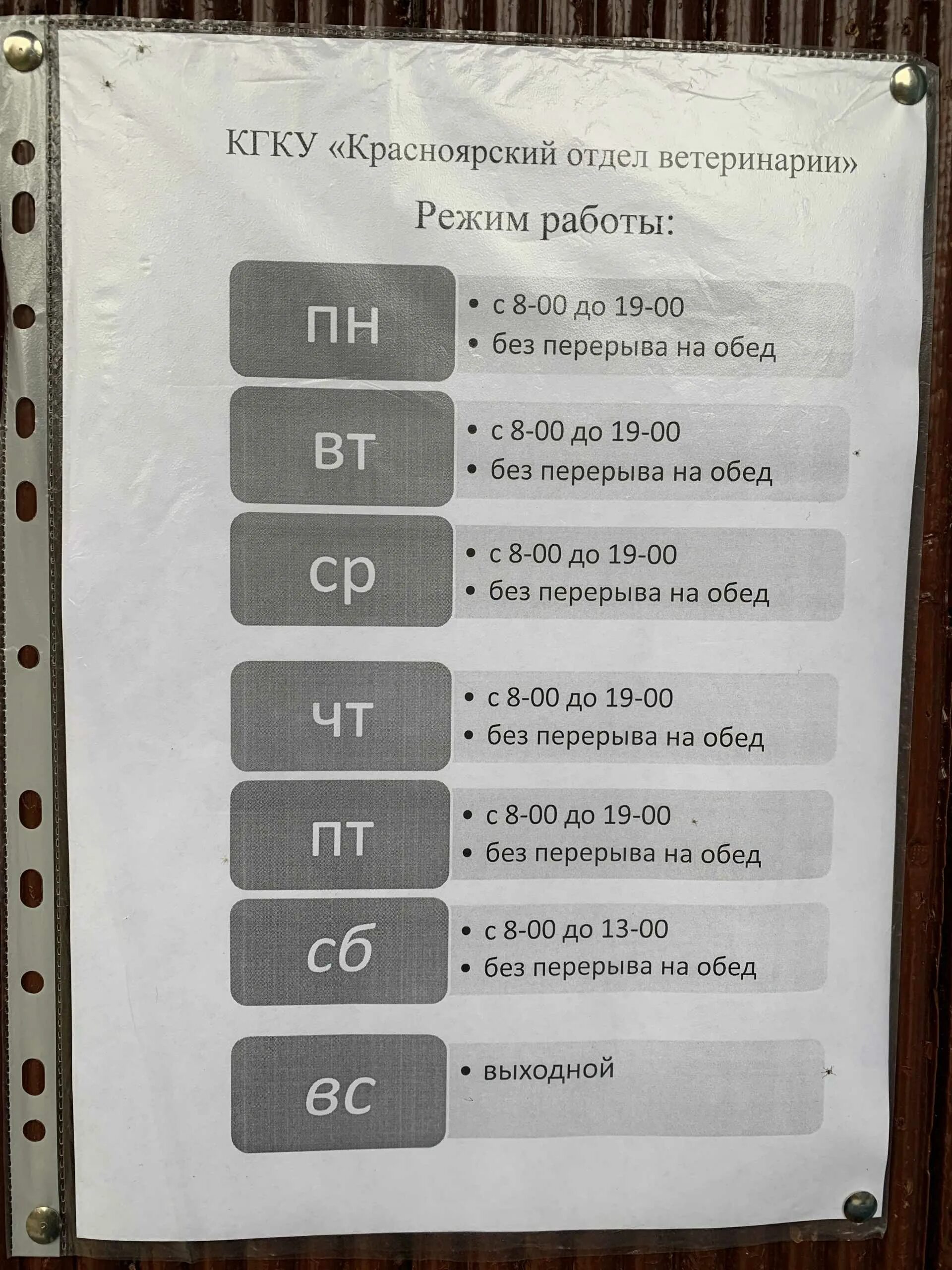 Ветеринарка Красноярск. Дивногорск, Чкалова, 20а. Копылова 44 Красноярск ветеринарная клиника. Отдел ветеринарии название кабинетов. Купить номер телефона красноярск