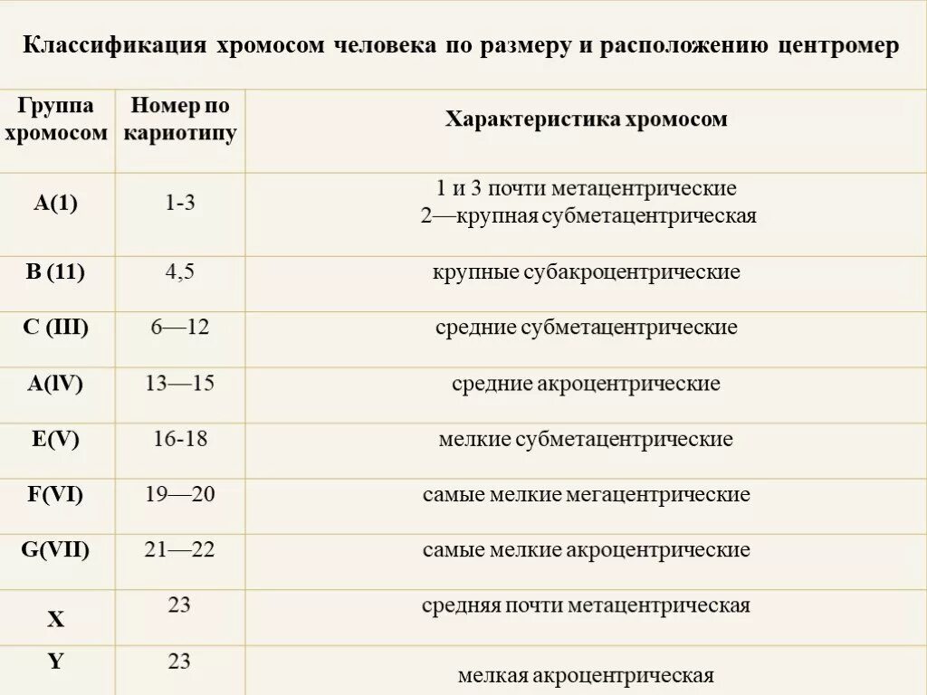 Характеристики хромосом человека. Классификация хромосом в кариотипе человека. Классификация хромосом человека таблица. Классификация хромосом человека по размеру и расположению. Денверская классификация хромосом человека.