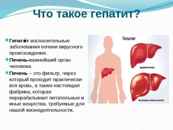 Гепат. Заболевания печени гепатит.