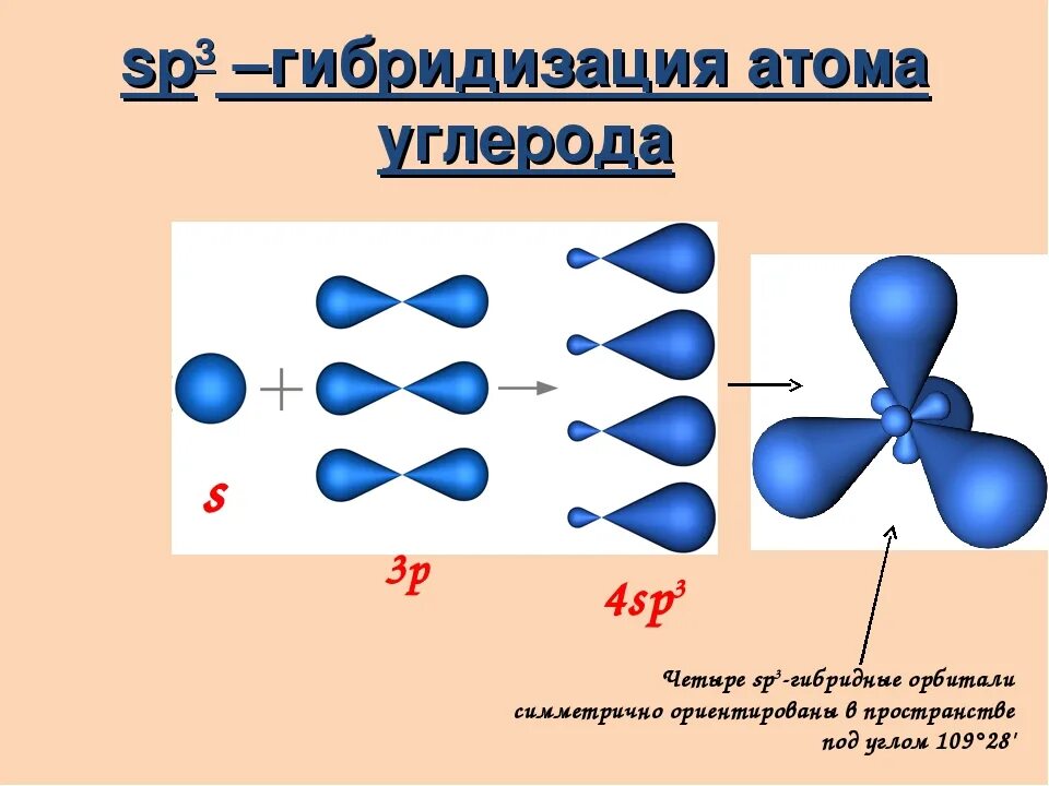 Sp2 и sp3 гибридизация углерода. Расположение sp2 гибридных орбиталей. SP sp2 sp3 гибридизация атома углерода. Гибридные sp3 орбитали атома углерода образуют. Состояние атома углерода в алканах