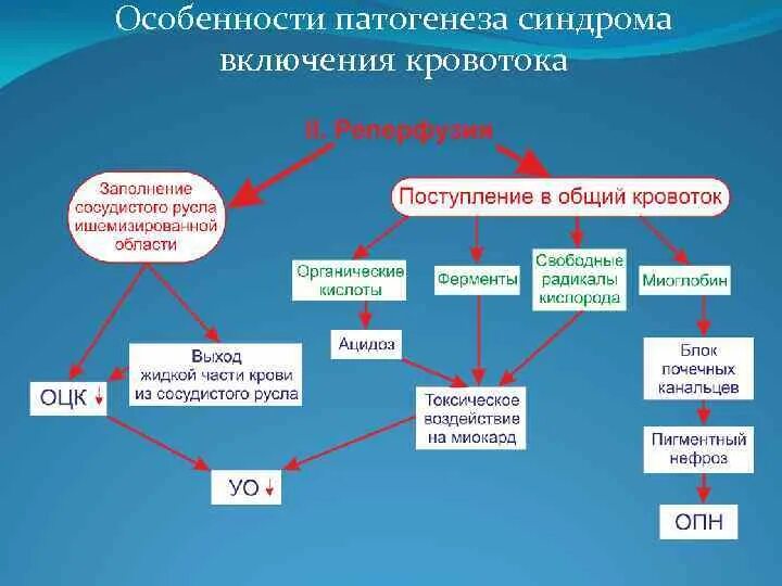 Синдром поликистозных яичников патогенез. Патогенез ДВС синдрома схема. Патогенез СПКЯ. Механизм развития синдрома Лайелла. Признаки патогенеза