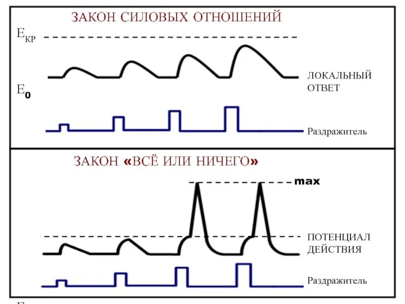 Закону силы подчиняется